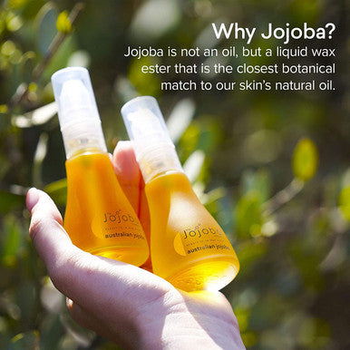 The Jojoba Company - Australian Sustainably Grown Wadi-Wadi Jojoba - Vitamins A, D & E - Hypoallergenic - Cruelty-free - For All Skin Types - 85ml