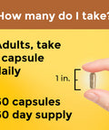 Nature Made Multi + Ashwagandha Multivitamin For Daily Stress Relief Support One Per Day Multivitamin 60 Capsules