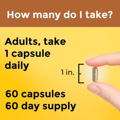 Nature Made Multi + Ashwagandha Multivitamin For Daily Stress Relief Support One Per Day Multivitamin 60 Capsules