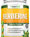 Berberine - 1200Mg - 90 Vegetarian Capsules - Pure Berberine Extract Supplement - Superior Potency to Support Immune Health