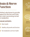 Solgar Choline 350 Mg 100 Vegetable Capsules Supports Healthy Brain and Cellular Function Vegan Gluten And Dairy Free Kosher 100 Servings