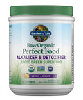 Garden of Life Raw Organic Perfect Food Alkalizer & Detoxifier Juiced Greens Superfood Powder & Vegan Protein Powder - Raw Organic Meal Replacement Shakes - Vanilla - Pea Protein