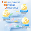 OMOGS Probiotics 90 Billion CFUs 18 Strains with 3 Organic Prebiotics and Vitamin C Nutritional Supplement for Women Men and Kids Support Metabolism Immunity and Digestive Health Non GMO 90 Tablets