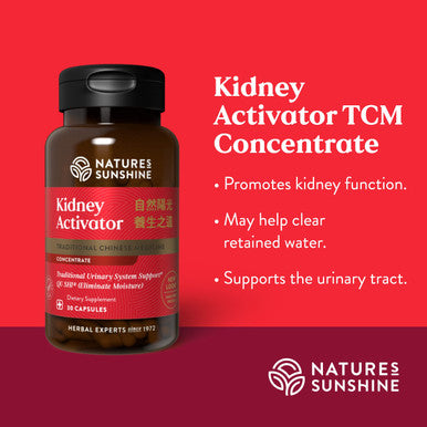Nature'S Sunshine Kidney Activator Tcm Concentrate 30 Capsules | Natural Chinese Kidney Supplement Contains Herbs To Support And