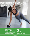 Optimum Nutrition Micronised Creatine Powder 100% Pure Creatine Monohydrate Powder For Performance And Muscle Power Unflavoured Shake 186 Servings 634 G
