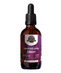 Earth'S Love - Cryptolepis Alcohol-Free Herbal Extract Tincture, Super-Concentrated Wildcrafted Cryptolepis (Cryptolepis Sanguino