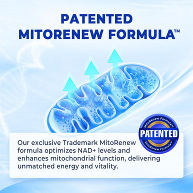Divinity Nutra Nad+ Supplement, Nad+ Boost - Nicotinamide Riboside (Nr) 300 Mg For Anti Aging And Cell Regeneration Support Cellular Energy Focus Patented Formula Grape Seed Pqq 20Mg Ginkgo 30 Days Supply