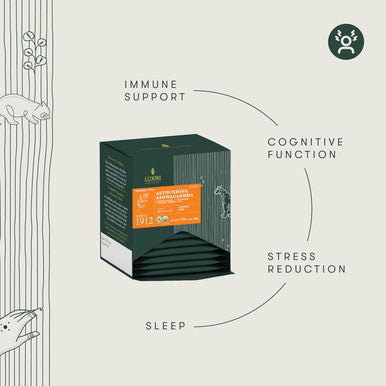 Luxmi Estates - Astounding Ashwagandha - Organic Ashwagandha Tea - 90 Tea Bags (15ct x 6 pack) | With Ashwagandha Turmeric Ginger Lemongrass & More | Perfect Stress Relief Tea - Calming and Relaxing