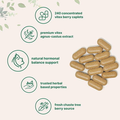 Micro Ingredients Vitex Berry Supplement 1000mg Per Serving 240 Caplets | Potent Chaste Tree Berry Extract | Promotes Menstrual Fertility & Hormone Balance for Women | Non-GMO