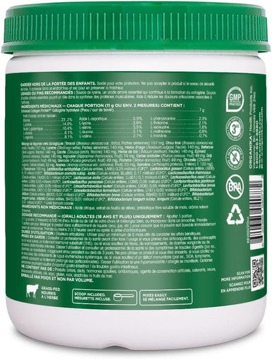 Organika Power Greens With Enhanced Collagen - A Daily Nutrient Rich Wellness Protein Powder, Pineapple Punch Flavor, Blend Of 16 Organic Fruits And Vegetables With 1 Billion Cfu Of Probiotics, 220G