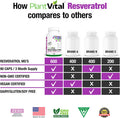 Plantvital Resveratrol 600Mg - Trans Resveratrol Supplement - Supports Immune System And Digestive Health - 90 Trans-Resveratrol Capsules (1 Bottle)