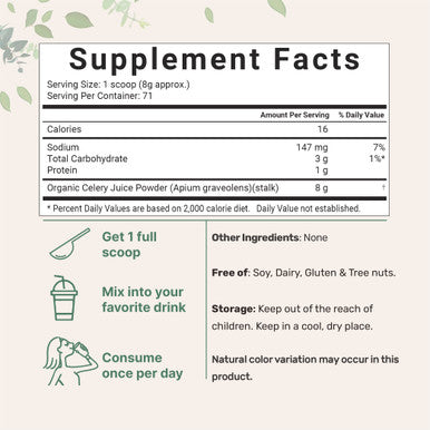 Organic Celery Juice Powder, 20 Ounce (1.25 Pound), 71 Serving, Celery Detox and Cold Pressed, Boosts Immune System, Energy and Supports Gut Health, Rich in Immune Vitamin C and Minerals, Vegan