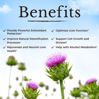 Vitalitown Milk Thistle Complex 30X Extract & Std. 80% Silymarin Choline + Dandelion Root + Zinc Superior Liver & Antioxidant Support Vegan, Non-Gmo, No Dairy 600 Mg 60 Veggie Caps
