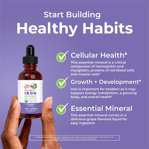 MaryRuth's Iron Supplement for Toddlers Liquid Iron Supplement for Children Ages 13 Iron Supplement for Iron Deficiency Ferrochel Sugar Free Vegan NonGMO Gluten Free 2 Fl Oz