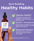 Maryruth's Iron Supplement For Toddlers 2 Fl Oz