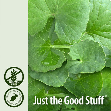 Nature'S Answer Gotu Kola Herb with Organic Alcohol 2-Fluid Ounces | Dietary Supplement | Supports a Healthy Immune System | Made in The USA