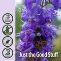 Nature'S Answer Chaste Berry Vitex Agnus Castus with Organic Alcohol 2000mg 1oz Extract | Promotes Female Balance | Gluten- Non-GMO Vegan No Artificial Flavors or Preservatives | Single Count
