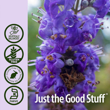 Nature'S Answer Chaste Berry Vitex Agnus Castus with Organic Alcohol 2000mg 1oz Extract | Promotes Female Balance | Gluten- Non-GMO Vegan No Artificial Flavors or Preservatives | Single Count