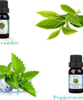 Diffuserlove Essential oils 6 Gift Set Eucalyptus, Lavender, Lemongrass, Sweet Orange, Peppermint,Tea Tree