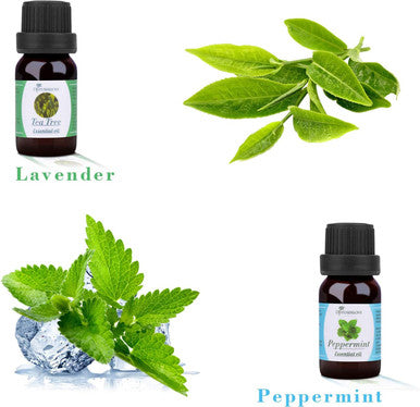 Diffuserlove Essential oils 6 Gift Set Eucalyptus, Lavender, Lemongrass, Sweet Orange, Peppermint,Tea Tree