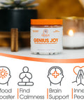 Genius Joy Nootropic Supplement w/Same Panax Ginseng LTheanine 100 Veggie Pills
