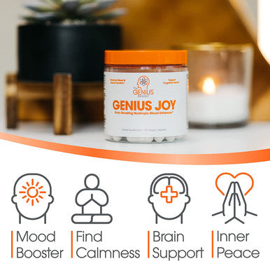 Genius Joy Nootropic Supplement w/Same Panax Ginseng LTheanine 100 Veggie Pills