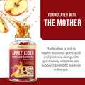 Organic Apple Cider Vinegar Gummies 60 Ct. Weight Digestion Detox Immunity Diet Support with ACV With The Mother Vitamin B6 B12 Folate Belly Fat Burner for Women Men Vegan 500MG