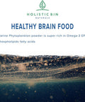 Holistic Bin Marine Phytoplankton Powder ly Grown in Nordic Seawater | Vegan Omega 3 Supplement | Rich in Amino s, Chlorophyll, Vitamins, & Trace Minerals (50g)