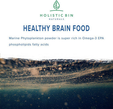 Holistic Bin Marine Phytoplankton Powder ly Grown in Nordic Seawater | Vegan Omega 3 Supplement | Rich in Amino s, Chlorophyll, Vitamins, & Trace Minerals (50g)