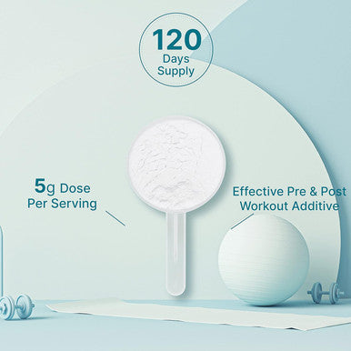Deal Supplement Creatine Monohydrate Powder 600 Grams (1.32lb) Unflavored | Pure | Micronized Creatine Powder 5000mg(5g) Per Serving 4 Month Supply Vegan | Keto Non-GMO No Filler No Additives - 120 Servings