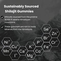 Pure Himalayan Shilajit Resin Potency Gummies Supplement For Men & Women 1000Mg Sugar 85+ Trace Minerals Immumity, Energy, Vitality & Brain Natural Raspberry Flavor (60 Count)