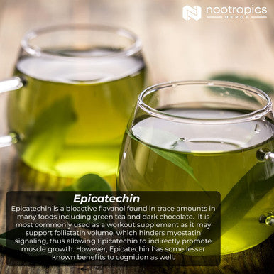 Epicatechin 90% Tablets 200mg 30 Count epicatechin 6mg Piperine