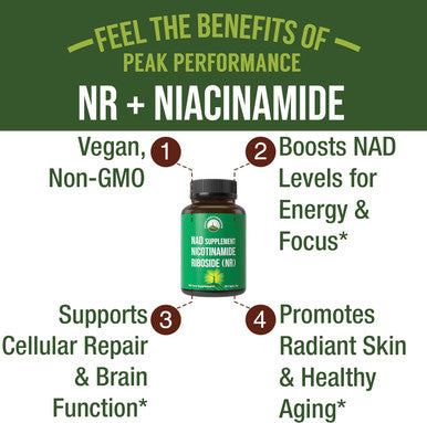 Nicotinamide Riboside Nr Supplement Nmn Alternative Nad Supplement + Niacinamide For Nad+ Levels As We Age Third Party Tested Non Gmo Gluten Free Vegan Nr Vitamin Supplements For Women And Men 30 Capsules