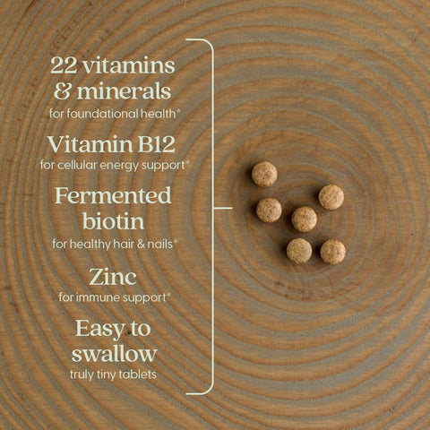 New Chapter Tiny Tabs Multivitamin with 20+ Nutrients for Immune Cellular Energy and Stress Support Including Vitamin D3 + B Vitamins 192 Count