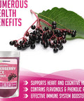 Xprs Nutra Elderberry Juice Powder - Elderberry Powder Organic Fruit Juice Mix - Powdered Elderberries Supplement Rich In Vitamins A And C (8 Oz)
