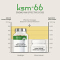 Vitabright Organic Ashwagandha KSM 66 5500mg Ashwagandha High Strength - Ashwaganda KSM66 5% Withanolides 90 Vegan Capsules (3 Months) Pure Ashwagandha Root Powder Capsules (not Ashwagandha Tablets) VitaBright