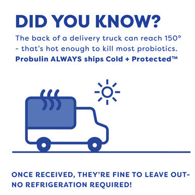 Probulin Daily Care Probiotic 60 Capsules