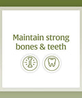 Natural Factors Calcium Magnesium Citrate with Vitamin D3 Support for Bones and Teeth 180 Tablets