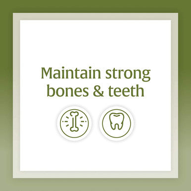 Natural Factors Calcium Magnesium Citrate with Vitamin D3 Support for Bones and Teeth 180 Tablets
