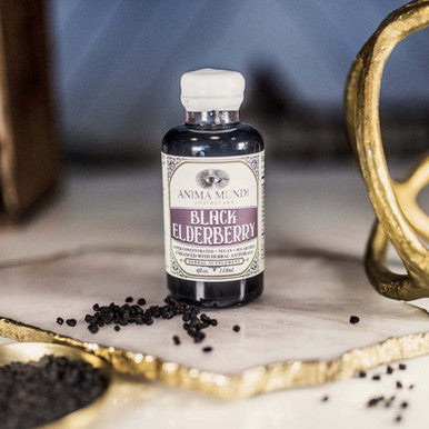 Anima Mundi Black Elderberry Syrup - Organic Elderberry Syrup for Immunity Support with Skullcap Baikal, Cordyceps, Reishi, Shiitake & Maitake Mushrooms (2oz / 59ml)