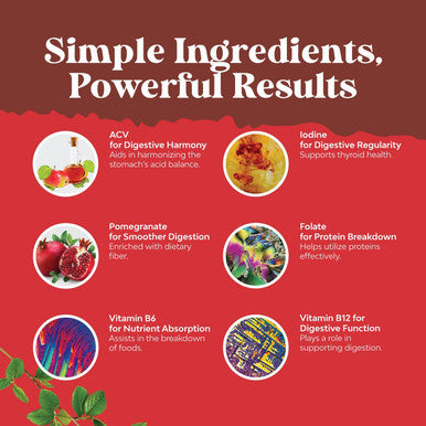 Natures Craft ACV Apple Cider Vinegar Gummies - Superfood Infused ACV Gummies Vitamins for Adults for Detox Cleanse Immune Support Digestion and Glowing Skin - Delicious Daily Energy Gummies with Vitamin B Complex