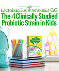 Culturelle Kids Regularity Probiotic Fiber Helps Restore Regularity Keeps Kids Digestive Systems Running Smoothly For Kids Toddlers Ages 1 NonGMO 60 Packets