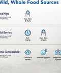 North American Herb Spice PurelyC 90 Capsules Healthy Immune Function Camu Camu Berries Wild Berries Rose Hips NonGMO 30 Total Servings