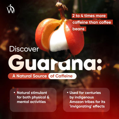 Weightworld Caffeine Supplement with No Jitter - 4X More Caffeine Than Coffee - 180 Guarana Capsules (3 Months Supply) - Vegan & Natural Caffeine Pills with No After Effects - Guarana Tablets Alternative