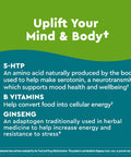 Nature Made Wellblends Positive Mood & Energy 5Htp Thiamin Niacin Vitamin B6 Vitamin B12 And Pantothenic Acid Plus Ginseng 24 Softgels
