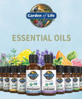 Garden of Life Essential Oil Tea Tree 0.5 Fl Oz (15 Ml)