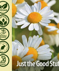 Nature'S Answer Chamomile Flower 90 Vegetarian Capsules | Relaxation Support | Helps with Digestion | Natural Calming Aid (Pack of 1)