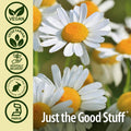 Nature'S Answer Chamomile Flower 90 Vegetarian Capsules | Relaxation Support | Helps with Digestion | Natural Calming Aid (Pack of 1)