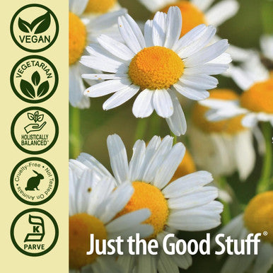 Nature'S Answer Chamomile Flower 90 Vegetarian Capsules | Relaxation Support | Helps with Digestion | Natural Calming Aid (Pack of 1)