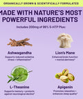 Nootrix Organic Plant 5Htp+ Cofactor Vitamin B6, Lions Mane, Apigenin, L Theanine Supplement W Ashwagandha - Brain Supplement - Supports Mood, Cognition, Better Sleep - 5 Htp - 120 Vegetable Capsules